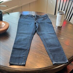 Everlane Dark Blue Curvy High Rise Skinny Jeans